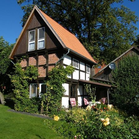 Neu! Bauern-Speicher Anno 1606 Wienhausen Exterior photo